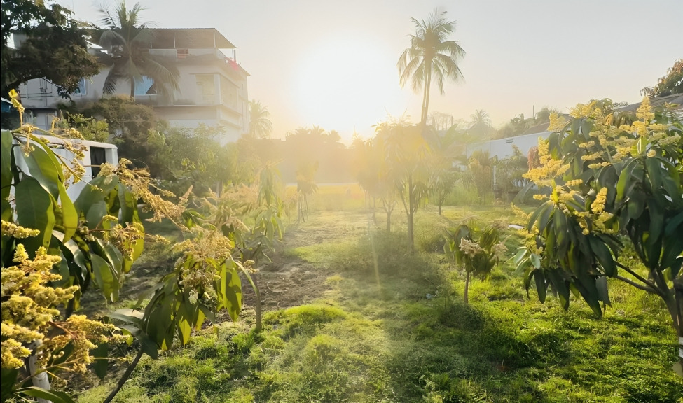 Florida Farms Bangladesh image