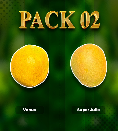 Package 2: Super Julie & Venus product image